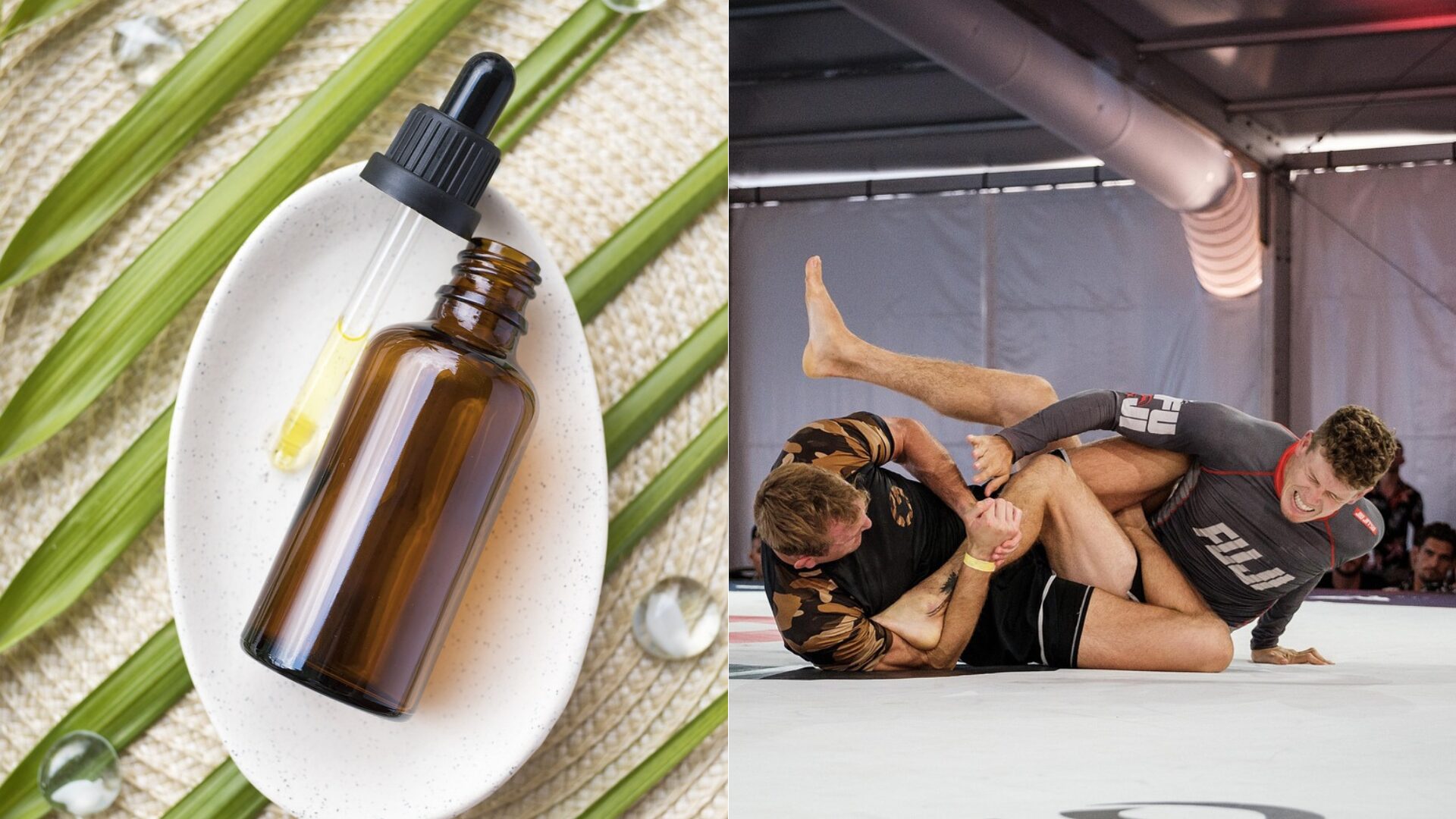 cbd mma